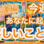 😊今週あなたに起きる嬉しいこと全体運編✨仕事・恋愛・金銭面などなど😊アルケミアタロットで占います🧸