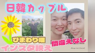 【日韓カップル】ひまわり畑　ソレイユの丘　インスタ映え