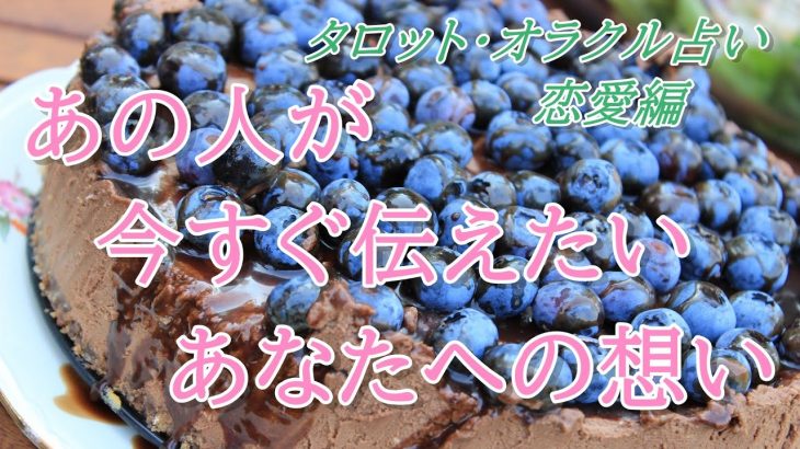 【タロット占い】恋愛💖あの人が今すぐに伝えたいあなたへの想い💖タロットカード💖オラクルカード💖ヒーリング💖開運💖のほほん系チャネラー