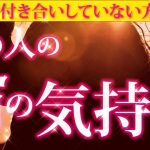 【恋愛タロット🌺】💣ややピリ辛注意👀あの人の今の気持ち❣💣訳ありでまだお付き合いしていない方向け✨✨✨⌚動画に出会った時がタイミング🌈🌸🎯✨✨✨【タロット占い3択】