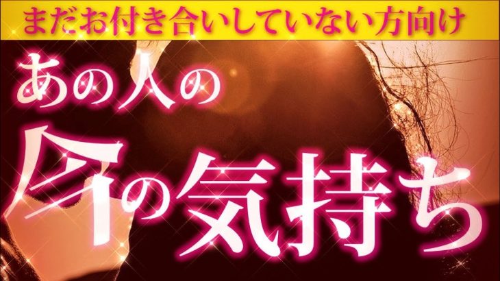 【恋愛タロット🌺】💣ややピリ辛注意👀あの人の今の気持ち❣💣訳ありでまだお付き合いしていない方向け✨✨✨⌚動画に出会った時がタイミング🌈🌸🎯✨✨✨【タロット占い3択】