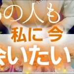 【タロット占い】あの人も私に会いたい？🧡恋愛🔮見た時がタイミング