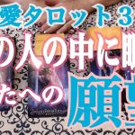 【恋愛タロット３択占い】あの人の中に眠るあなたへの願望とは？