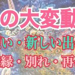 恋の大変動‼️❤️これから恋愛どうなる？出会いも付き合いも全ての状況はどんな展開になるの？細密リーディング！