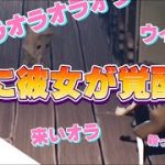 ＃４　ビビりカップルのホラーナイト【リトルナイトメア2】