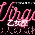 🦋恋愛タロット占い🌈乙女座♍️💓見た時がタイミング！今この瞬間のあの人の気持ちをキャッチ💫🔮リアルリーディング⭐️エナジーチェックイン(2021/11/17）