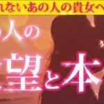 【恋愛タロット🌺】あの人の欲望と本音✨あなたにぶちまけてしまいたい❣動画に出会った時がタイミング⌚🌺🌈💍✨✨✨【タロット占い3択】