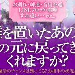 🔮恋愛タロット🌈音信不通・LINEブロック・お別れ・喧嘩・すれ違い・疎遠etc.距離を置いた…離れてしまったあの人は、私の元に戻ってきてくれますか❔🌈お相手の気持ち・2人の関係・復縁リーディング💗