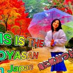 国際カップル　紅葉見に行こうよう！THIS IS THE KOYASAN in Japan 【VLOG】