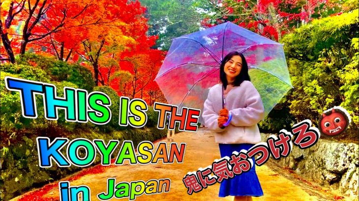 国際カップル　紅葉見に行こうよう！THIS IS THE KOYASAN in Japan 【VLOG】