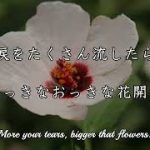 poem 《To you who cried》恋愛インフルエンサー、恋垢　ととさん、恋愛系ユーチューバー、恋愛ユーチューバー、恋愛　ととさん、恋愛ポエマー　とと