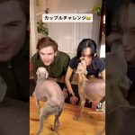 (tiktok) カップルチャレンジ動画。。彼女より犬が勝ったか⁉️ #国際カップル