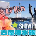 【名古屋港水族館】イルカショー　見てみた　【日韓カップル】