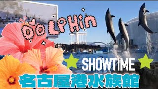 【名古屋港水族館】イルカショー　見てみた　【日韓カップル】