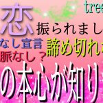 〈失恋〉恋愛総合〜振られました。完璧脈なし？本当かな‥諦め切れない想い。断りの本心が知りたい