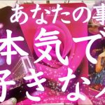 恋愛鑑定💗今あなたの事を本気で好きな人の特徴🌈どんな人？恋愛的な行動はするつもりがある？💗タロット＆オラクルカードリーディング