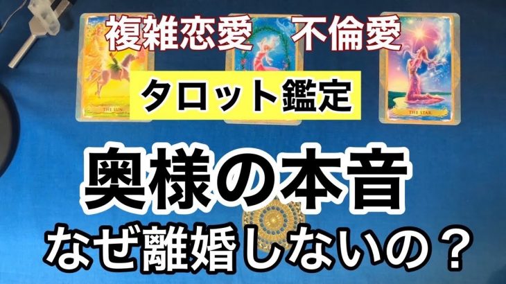 複雑恋愛　不倫愛🔮タロット占い🔮　リクエスト鑑定　　あちらの奥様（パートナー様）の本音・彼に対する想い・なぜ離婚しないの？　&今日のあなたへのアドバイス☆オラクルカード