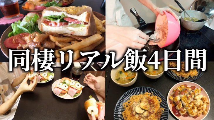 【リアル晩ご飯】同棲カップルの自炊飯と食費全部見せます〜vol4〜