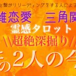 【霊感タロット】【霊視】2人の今後【複雑恋愛】【不倫】【三角関係】