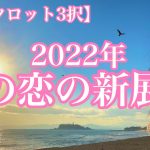 【恋愛タロット3択】2022年この恋の新展開