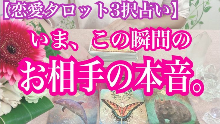 【恋愛タロット3択占い】いま、この瞬間のお相手の本音！復縁、不倫、片思いの恋愛運を3択タロットリーディングで占い鑑定しました♩バランガン西原さゆり