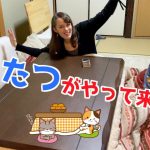 【念願】こたつが我が家にやってきた！【字幕付】We finally got a kotatsu! #国際カップル #lifeinjapan #こたつ