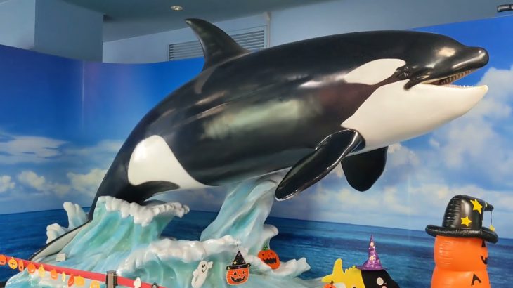 【日韓カップル】名古屋港水族館