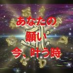 【願いが叶わぬには理由がある】恋愛、金運、仕事、商売、勝負事、それら全てに影響を与え、あなたの願いを叶える#恋愛直情径行#金運直情径行#仕事運直情径行#商運直情径行#勝負運直情径行