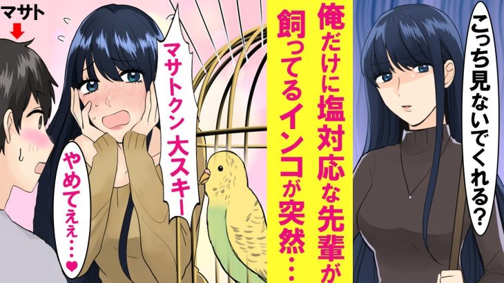 【漫画】俺にだけ塩対応な憧れの先輩の家に行ったら、飼ってるインコが突然「マサトクン大好キー！」と俺の名前を言い出した。「ち、違うのぉぉぉ」と戸惑う先輩に話を聞いたところ・・・【恋愛漫画】