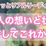 サクッと恋愛リアルリーディング💖2人の想いと状況、、そしてこれからについて👼