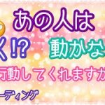 💓恋愛💓あの人は行動してくれますか⁉️ 3ヶ月以内で 出しました［タロット］カードリーディング