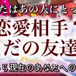 【片思い・曖昧な関係】あなたはあの人にとって恋愛相手？ただの友達？💖現在の関係性🌈過去や現在のお相手の気持ち【当たるタロット・オラクル・ルノルマン】