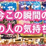 今この瞬間のあの人の気持ち☺️✨恋愛リーディング💕アルケミアタロットで占います🧸