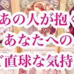 【新春初🎍超深堀り🔎🕵🏻】相手の気持ち✨片思い複雑恋愛三角関係🦋ルノルマンオラクル🧚‍♀️詳細リーディング