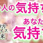 【恋愛・タロット】あの人の気持ち、あなたの気持ち