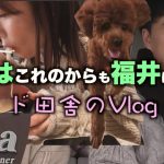 【福井県】2年目間近のカップルのまったり１日Vlog