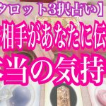 【恋愛タロット3択占い】今、お相手があなたに伝えたい本当の気持ち。復縁、不倫、片思いの恋愛運を3択タロットリーディングで占い鑑定しました♩バランガン西原さゆり