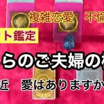 複雑恋愛　不倫愛🔮タロット占い🔮　　あちらのご夫婦の最近のご様子　　愛はありますか？　& 今日のあなたへのアドバイス　✨タロットカードとオラクルカード✨