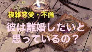 複雑恋愛不倫『彼は離婚したいと思っているの？』