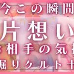 【片想い】今この瞬間のお相手の気持ち♥恋愛タロット占いオラクルカードリーディング