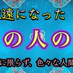 疎遠になったあの人の今💫恋愛に限らない人間関係🧍‍♀️🧍🧍‍♂️良いも悪いも💙ハワイのスピリチュアルタロット🌈マナカードリーディング✨