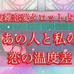 🌹複雑恋愛タロットリーディング🌹あの人と私の恋の温度差✨遠距離、疎遠、曖昧な関係、不倫など少し複雑になっている方向けです🥺