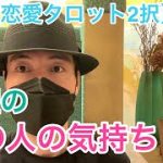 【恋愛タロット2択】火曜のあの人の気持ち