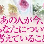 🔮恋愛タロット🌈あの人が今、あなたについて考えていること🌈恋愛タロット💗あの人の気持ち・あなたに対する印象や行動💗2人の関係・2人の未来💗深掘りリーディング💗音信不通・疎遠・複雑恋愛・片思いの方も…