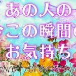 今この瞬間😳お相手のあなたへの気持ち💕恋愛タロット占い 【運命の3択💫✨】お相手の恥ずかしいお気持ち🔮おはな🌸の心を癒すタロット占い