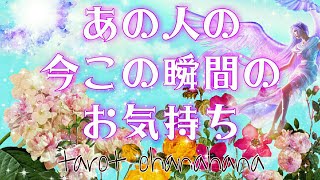 今この瞬間😳お相手のあなたへの気持ち💕恋愛タロット占い 【運命の3択💫✨】お相手の恥ずかしいお気持ち🔮おはな🌸の心を癒すタロット占い