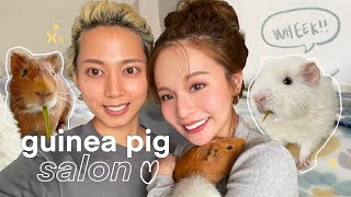 【国際カップル】モルモットの爪切りとお風呂| Guinea Pig Nail Clipping & Bath Time! (International Couple)