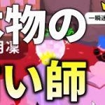 【ホムパ訪問】ガチの占い師に恋愛運を見てもらったらとんでもないことに…【一緒に遊ぼう アプリ/PlayTogether】