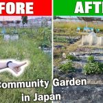Rescuing our community garden #国際カップル #野菜作り #茶子チャンネル