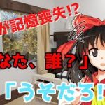 【ゆっくり恋愛劇】霊夢が記憶喪失!